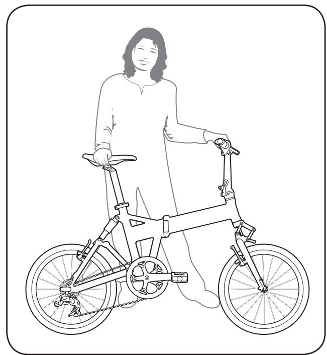 DAHON JETSTREAM P8 - 19
