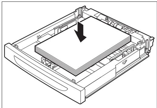 TALLY 9045N - Carregando Papel - 6