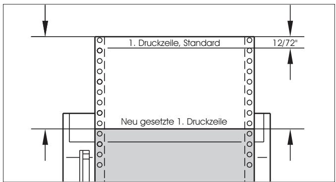 TALLY T2030 - Erste Druckzeile einstellen (TOF) - 11