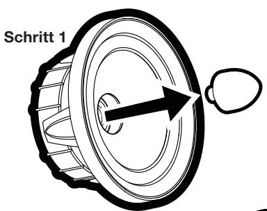 AUDIO DESIGN QS65.2 - LAUTSPRECHER-ANORDNUNG - 1
