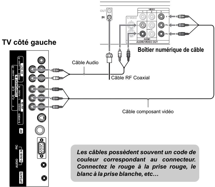 JENSEN VOYAGER JE1507 - Connecter le boîtier de câble numérique - 1