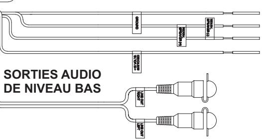 JENSEN VOYAGER MSR2107 - Cáblage - 1