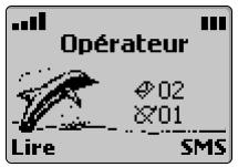 TRIUM 110 - Icônes importantes - 2