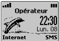 TRIUM 110 - Mise sous tension du téléphone - 1