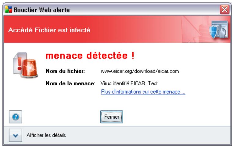GRISOFT AVG 8.5 INTERNET SECURITY - Test EICAR - 1