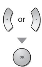 MAGNAVOX 19MD359B - Reset to the Default Setting - 4