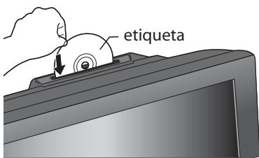 MAGNAVOX 19MD359B - Antes de empezar: - 2