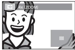 MAGNAVOX 19MD359B - Zoom - 4