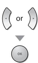 MAGNAVOX 19MD359B - DVD Audio Setting - 5