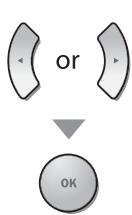 MAGNAVOX 19MD359B - DVD Language Setting - 4