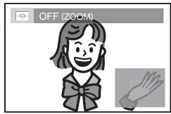 MAGNAVOX 19MD359B - Zoom - 2