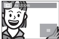 MAGNAVOX 19MD359B - Zoom - 4