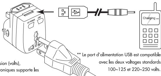 ISOUND INTERNATIONAL TRAVEL KIT - Adaptateur universel de voyage - recharger vos appareils simultanément à travers le port d'alimentation AC et le port USB - 1