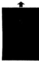 MURATEC F-120 - Les pages sont blanches - 1