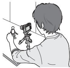 PANASONIC LUMIX DMC-TZ80 - Déplacez le sujet pour déterminer la composition. - 1