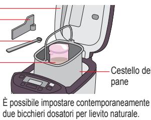 PANASONIC 2512 - FASE 1 Comefare l'impastoacidospontaneo - 3