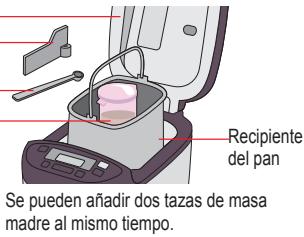 PANASONIC 2512 - FASE 1 Elaborar masa previa para pan de masa madre - 3