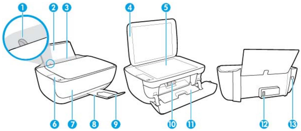 HP DESKJET 3636 - Composants de l'imprimante - 1