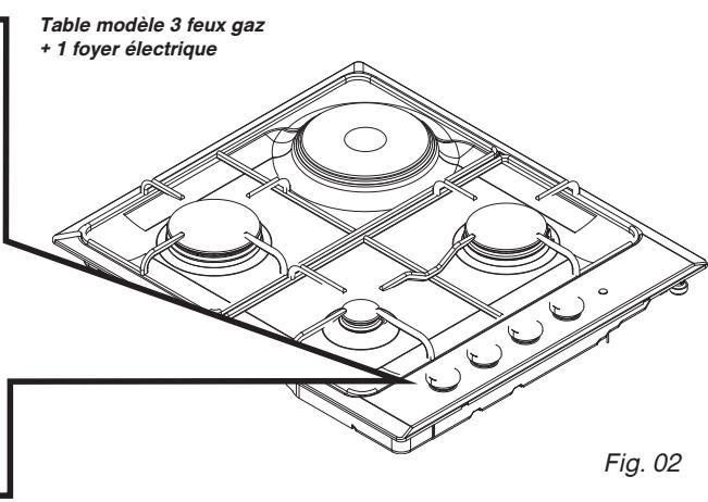 BRANDT TE1416B - Description de votre TABLE - 4
