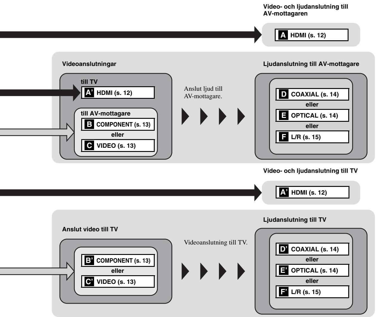 ASUS X751SJ-TY002T - Bakre panel - 2