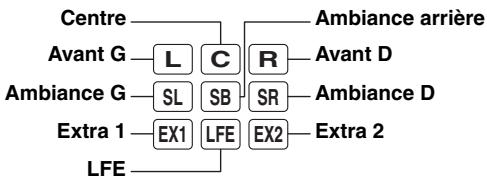 YAMAHA YSP-3300 - Témoins des voies d'entrée - 1