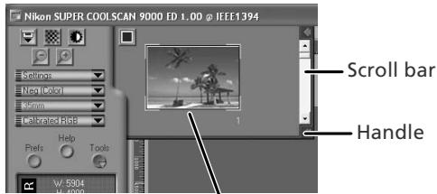 NIKON COOLSCAN 9000 - Select frames - 1