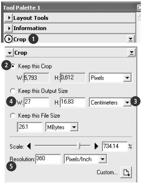 NIKON COOLSCAN 9000 - Choosing an Output Size and Resolution - 1