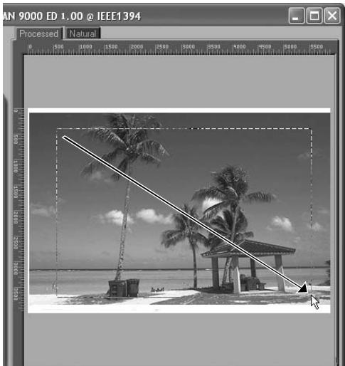 NIKON COOLSCAN 9000 - Select a crop To select a crop - 3