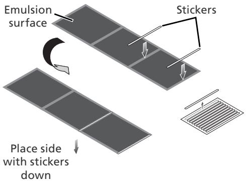 NIKON 9000 - Newton's Rings - 2