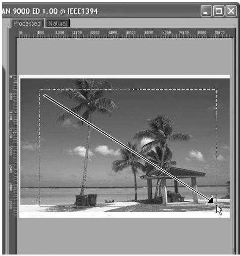NIKON 9000 - Select a crop To select a crop - 3