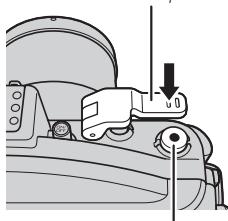 NIKON WP-N1( 1 J1 - Tome laImagen. - 1