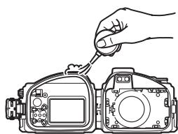 NIKON WP-N1( 1 J1 - Inspeccione la guia de la junta tórica. - 1