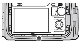NIKON WP-N1( 1 J1 - 《武王经》 - 1
