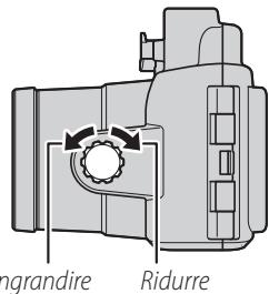 NIKON J2) - Inquadrare lo scatto. - 1