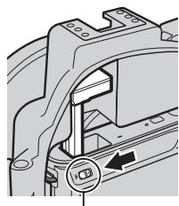 NIKON J2) - V Flashes subacuáticos (17) - 1