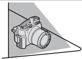 NIKON J2) - ウオーダーツルフケスを風通しのよう日陰で乾燥さする - 1