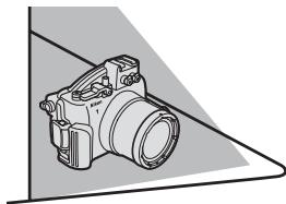NIKON J2) - 迪斯将他送至那里的。 - 1
