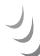 PIONEER BDP 160 - Connexion à un réseau LAN sans fil - 2