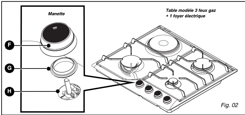 DE DIETRICH DTE1111B - Description de votre TABLE - 2