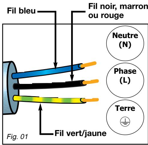 SAUTER SPI4360B - Raccordement electrique - 1