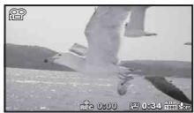 OLYMPUS TG 860 - Appuyez sur la touche (video) pour commencer l'enregistrement. - 3