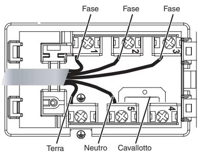 SCHOLTES TRP 642 DL - Altri tipi di collegamento - 1