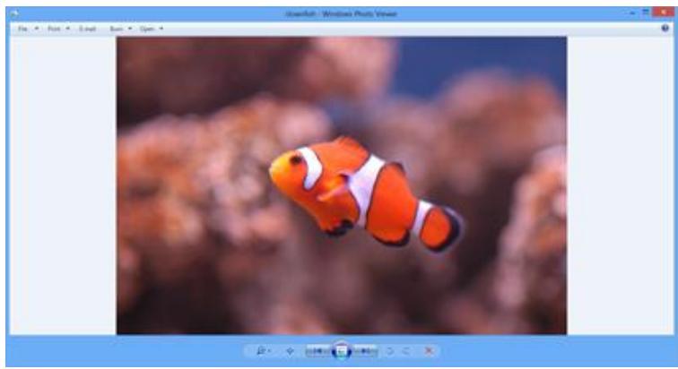 MICROSOFT SURFACE PRO 64 GO - Visionneuse de photos windows - 1