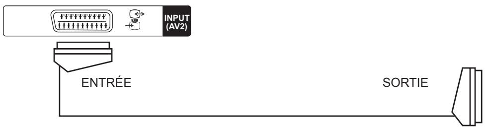 HITACHI 40F501HB1T62 - - Prises à l'arrière - 7