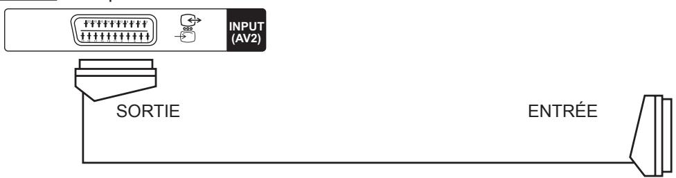 HITACHI 40F501HB1T62 - - Prises à l'arrière - 11