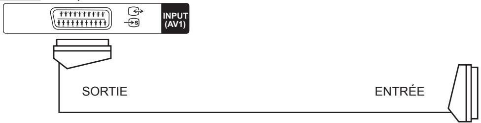 HITACHI 40F501HB1T62 - - Prises à l'arrière - 5