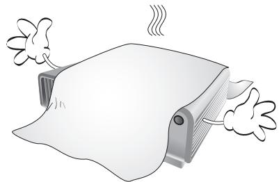 BENQ SW921 - Consignes de sécurité importantes - 6