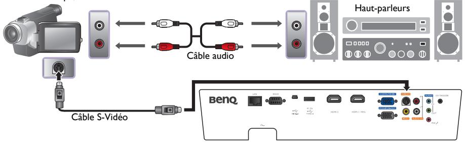 BENQ SW921 - Connexion des appareils s-visoéo - 1
