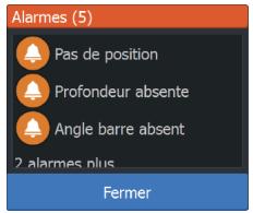 LOWRANCE ELITE 5 DSI - Alarmes individuelles - 1