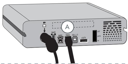 LACIE D2 QUADRA 2 TO - C. connexion via le câble d'interface firewire 800 - 1